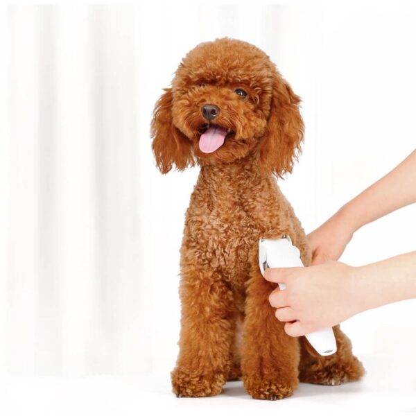 Pet shaver - Image 4