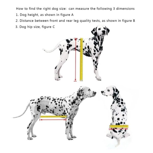 Dog Wheelchair - Fully Adjustable - Image 2