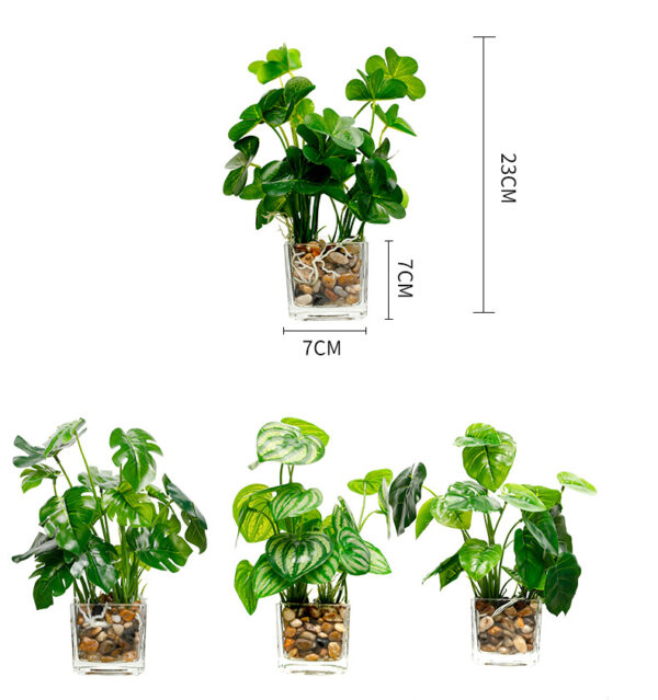 Indoor simulation plant - Image 6