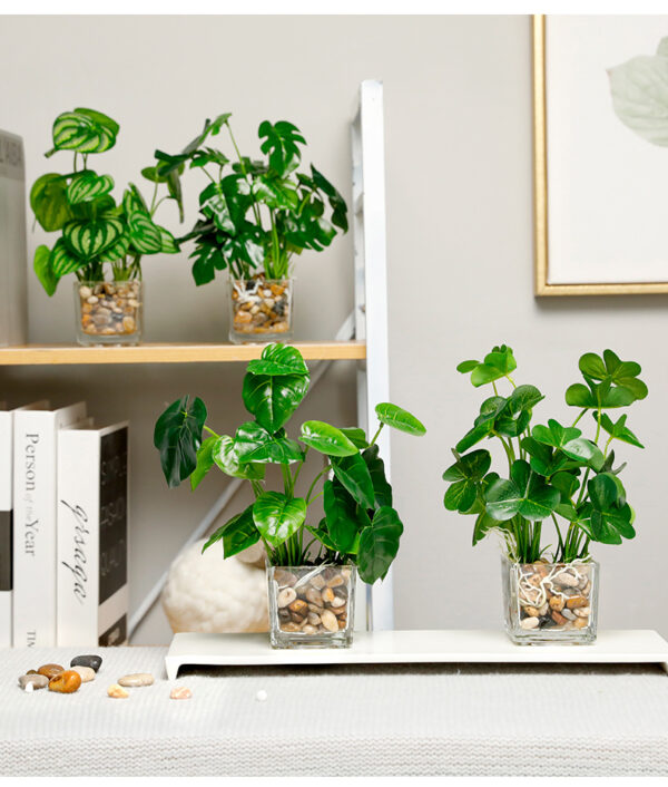 Indoor simulation plant - Image 2
