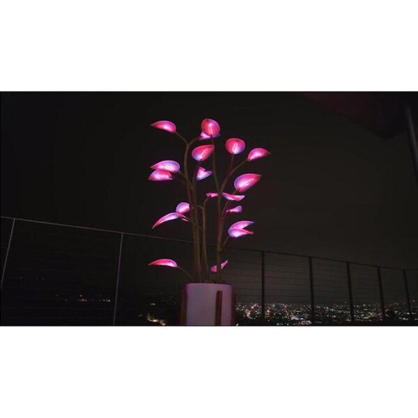 New Magic Led Indoor Plant Lamp - Image 4