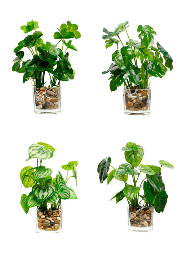 Indoor simulation plant - Image 7