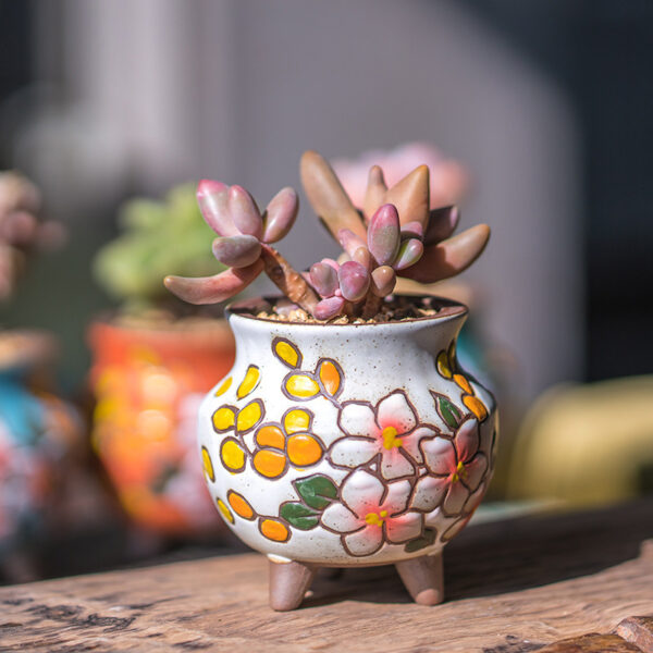Mini Small Creative Ceramic Indoor Green Plant Potted Plants - Image 5