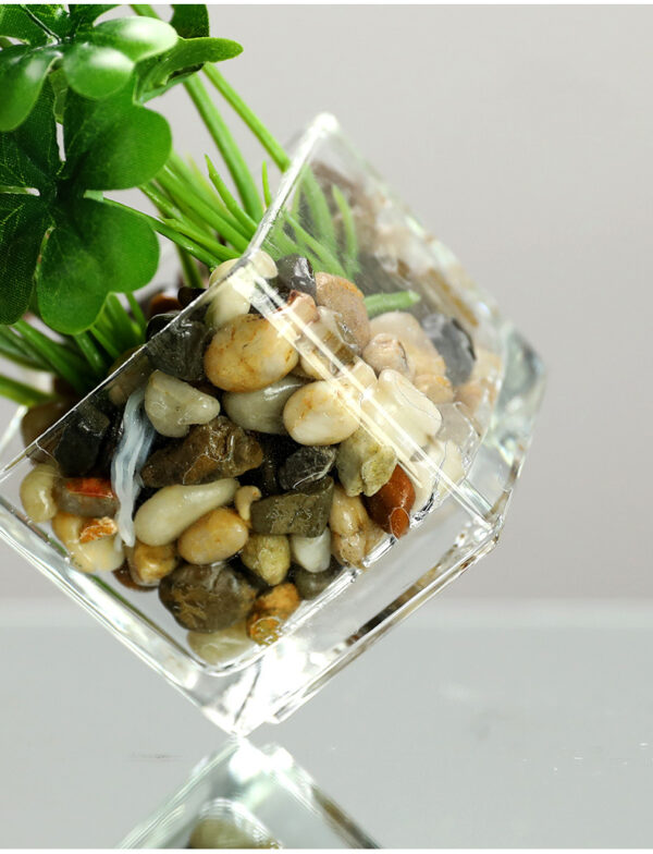 Indoor simulation plant - Image 5