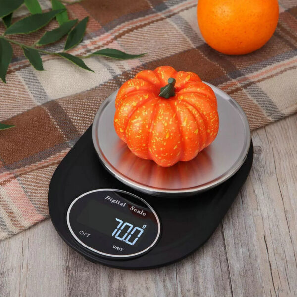 Small Pet Weighing Scale Stainless Steel Plate - Image 2