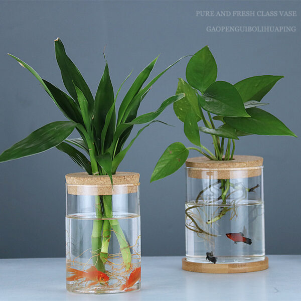 Indoor Green Plant Decoration Glass Bottle For Hydroponic Plants - Image 6