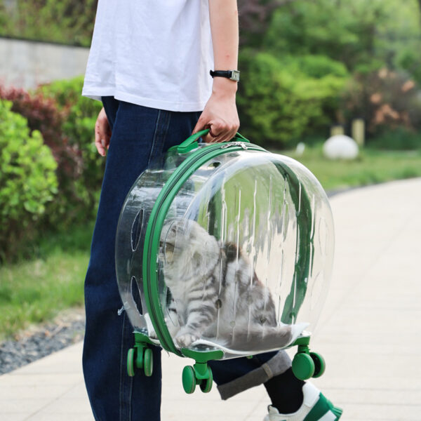 Portable Transparent Trolley Case Cat Bag - Image 9