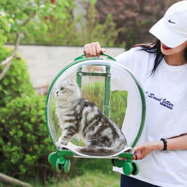 Portable Transparent Trolley Case Cat Bag - Image 4