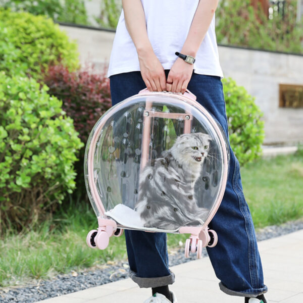 Portable Transparent Trolley Case Cat Bag - Image 2
