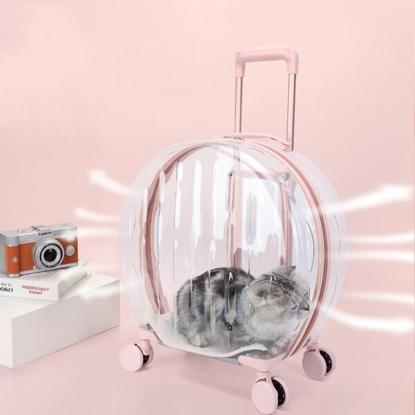 Portable Transparent Trolley Case Cat Bag - Image 6